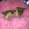 christopher posada - @christopherposadarivas - TikTok