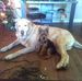 Christopher Prather - Facebook