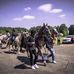 Chris Priester - Facebook