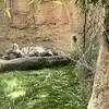 Christopher Ramey - @christopher.ramey6 - TikTok