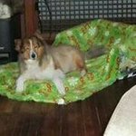 Christopher Rausch - @carausch01 - Instagram