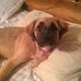 Christopher Reda - Facebook