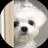 reddit_christopher97 - @reddit_christopher97 - TikTok