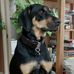 Christopher Redfern - Facebook