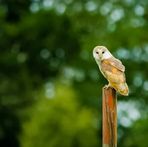 Christopher Revell Photography - Facebook