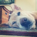 Christopher Rhoades - @bootergery - Instagram