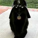 Christopher Riddle - @christopher_riddle - Instagram