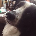 Christopher Riddle Jr. - @jr.christopherriddle - Instagram