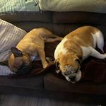 Christopher Ritchie - @binger0311 - Instagram