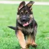 christopher rivas - @christopher.rivas49 - TikTok