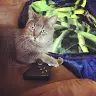 Christopher Roe - @christopher_roe_03 - TikTok