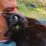 Christopher Roe-Bullion - @chrisbullion - Instagram