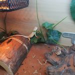 Christopher Roper - @christopher.roper.169 - Instagram