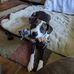 Christopher Ruark - Facebook