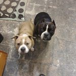 Christopher Ruby - @ruby.christopher - Instagram