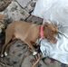 Chris Ryckman - Facebook
