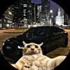 Christopher Salas - @christopher_salas - TikTok