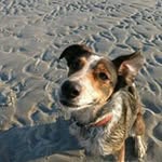 Christopher Sale - @treefullofmotherfinbacon - Instagram