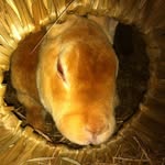 Christopher Sale - @christophersale - Instagram