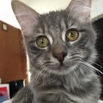 Christopher J Salyer - @fuzzwuzz2021 - Instagram
