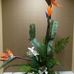 Christopher Salyer - Facebook