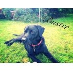 Sille christopher Anne - @christopher_sanger - Instagram