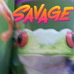 william Christopher sanger - @william.sanger.06 - Instagram