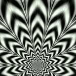 Christopher Säurig - @christophersaurig - Instagram