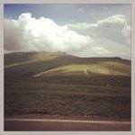 Christopher Scheer - @pionegani - Instagram