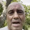 Christopher_Schmidt_ - @christopher_schmidt_ - TikTok