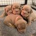 Mary Molly - Facebook