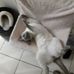 Christopher Schrader - Facebook
