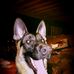 Christopher Schrader - Facebook