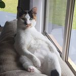Christopher Schutz - @chrisschutz23 - Instagram