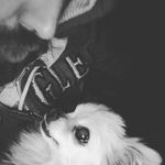 Christopher Schutz-Fincham - @stickycdsf - Instagram