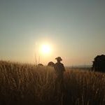 Jan Christopher Schütz - @janchristopherschuetz - Instagram