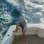 Christopher Serrano - @ch_14surf - Instagram