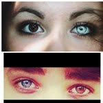 Christopher - @christopher_sheeran10 - Instagram