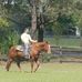 Chris Shevlin - Facebook
