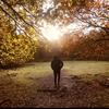 Christopher Sibley - @christopher.sibley - TikTok