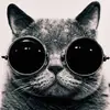 christophersimms18 - @christophersimms18 - TikTok