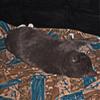 Christopher_Smalls - @christopher_smalls - TikTok