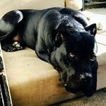 Christopher Snell - @biggedaddie71 - Instagram