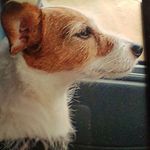 Christopher Snell - @christopher.snell.58 - Instagram