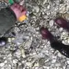 Christopher Snell - @christopher.snell7 - TikTok