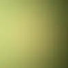 Christopher Sorenson - @christopher.soren17 - TikTok