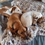 Christopher Soroka - @christophersoroka - Instagram