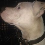 Christopher Starnes - @tallfuknwhiteboy27 - Instagram