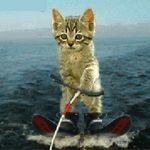 christopher starnes - @cnyal106 - Instagram