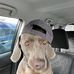 Chris Steed - Facebook